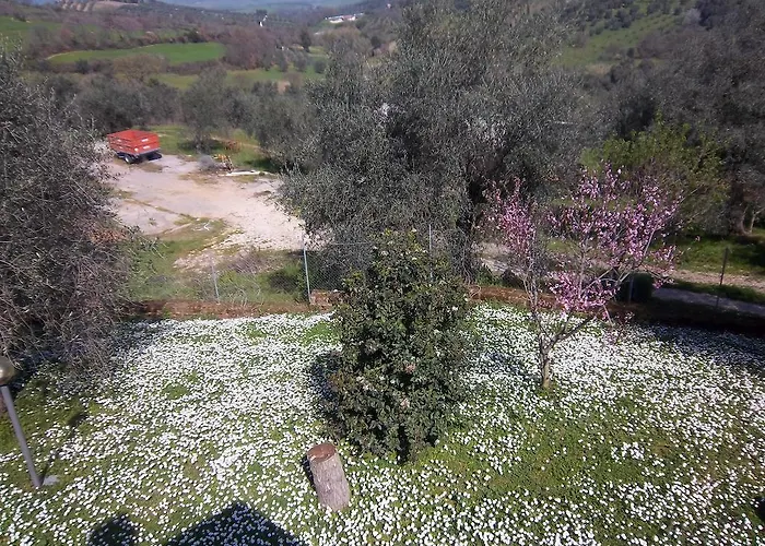 Agriturismo Norianino