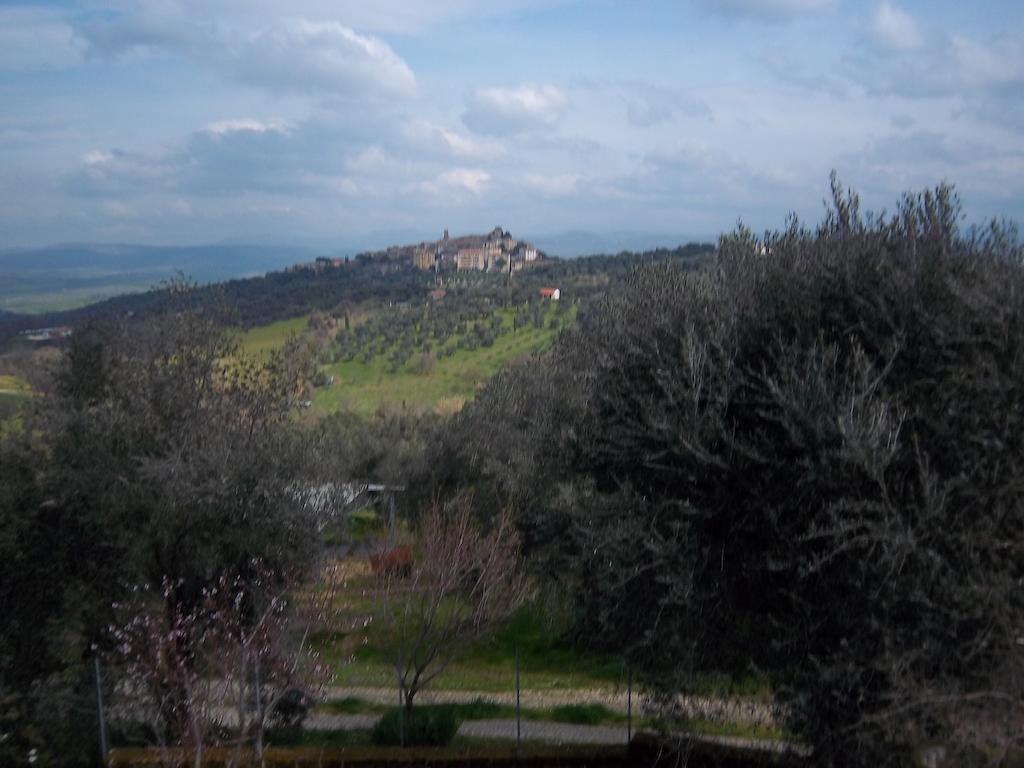 Norianino