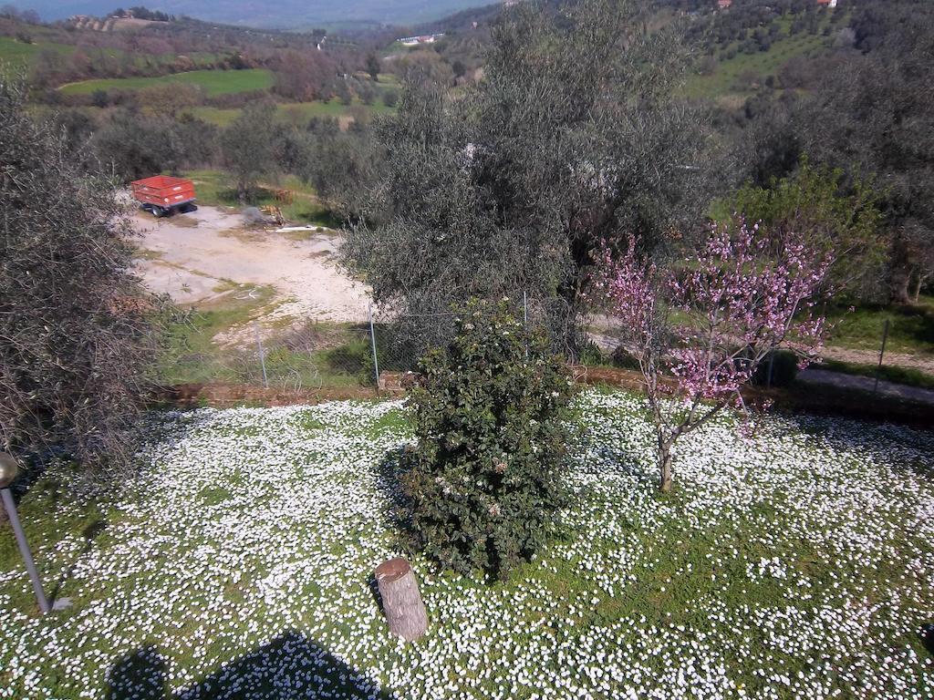 Norianino