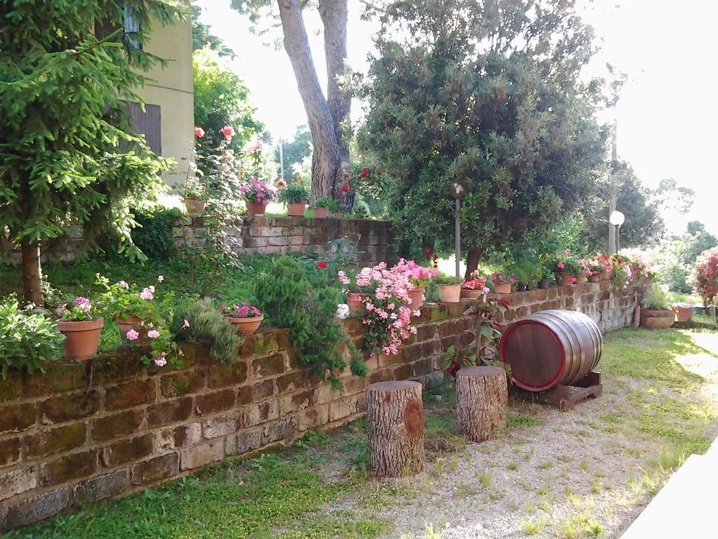 Norianino